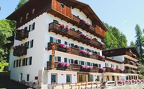 Hotel Des Alpes